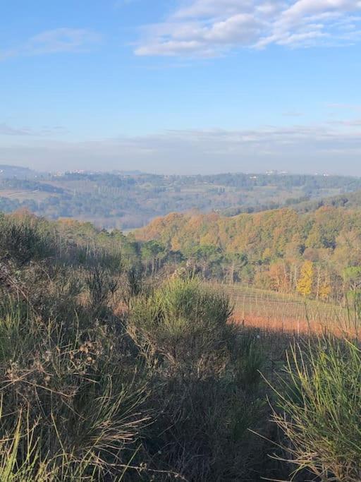 Faetole Typical Tuscan Country House Near Florence Capannuccia エクステリア 写真